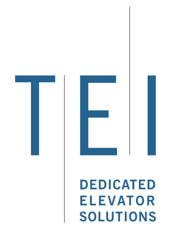 TEI Group Swag Store